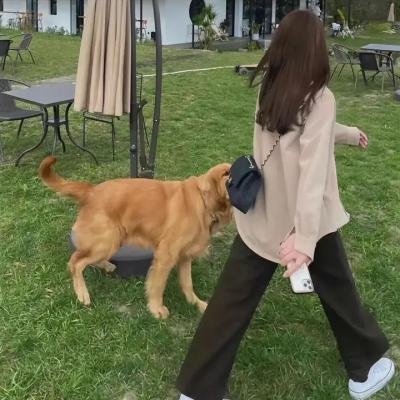 乐府情鸳